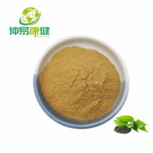 Instant green tea powder Green tea extract powder